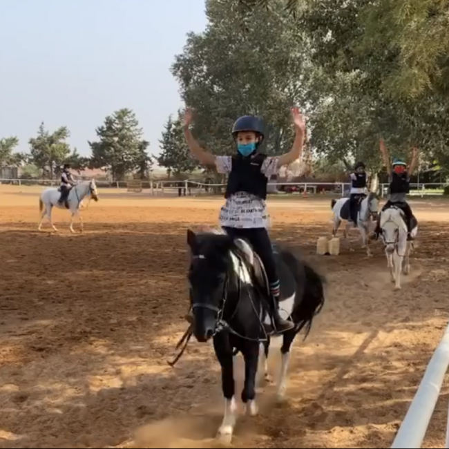 petits cavaliers