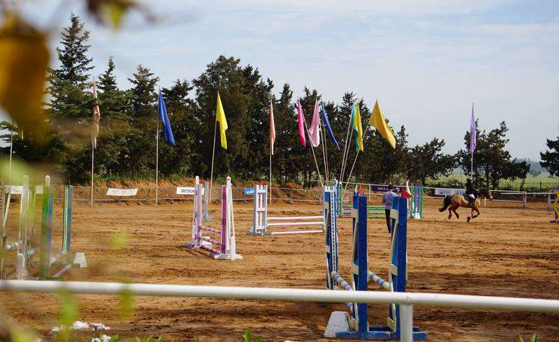 carrière d'équitation